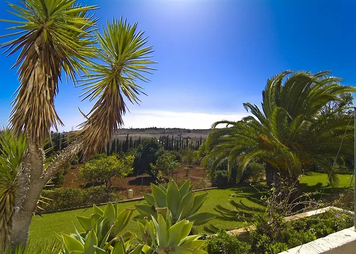 607 Lorena 라고스